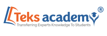 TEKS Academy Logo