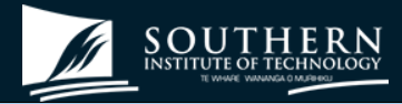 Southern Institute of Technology Logo