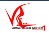 Vijatiya Training Solutions Logo