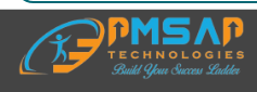 PMSAP Technologies Logo