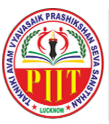 PIIT Institute  Logo