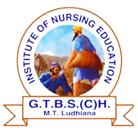 Institute of Nursing Education Logo