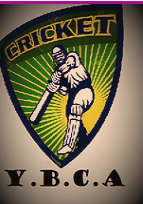 Young Boys Cricket Academy Logo