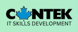Cantek IT Program Logo