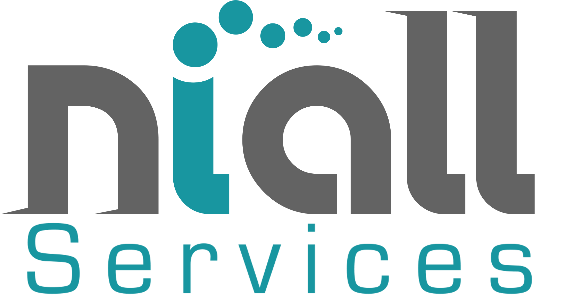 Niall Services Logo