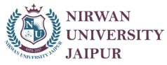 Nirwan University Logo