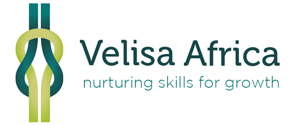 Velisa Africa Logo