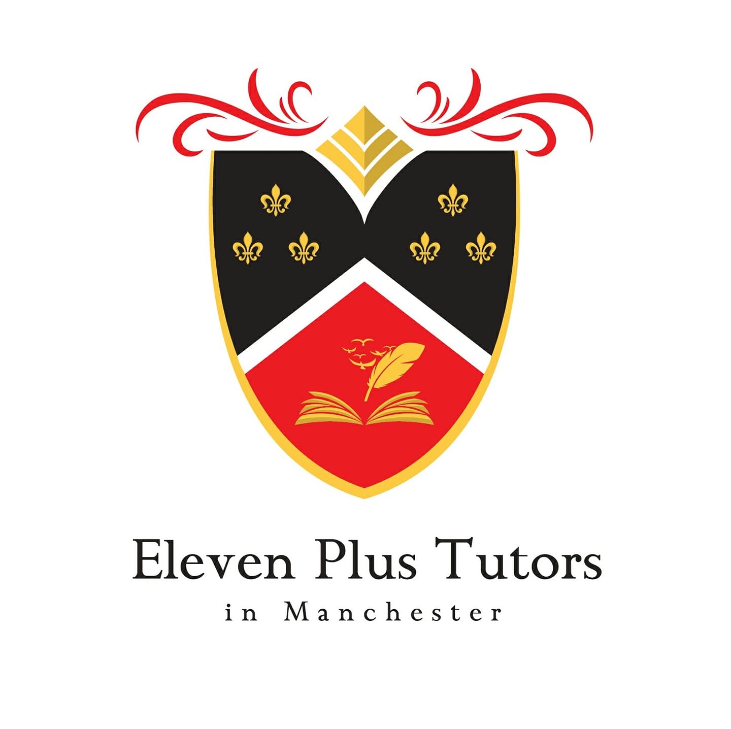 Eleven Plus Tutors in Manchester Logo