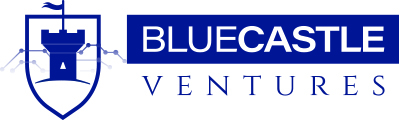 Blue Castle Ventures Logo