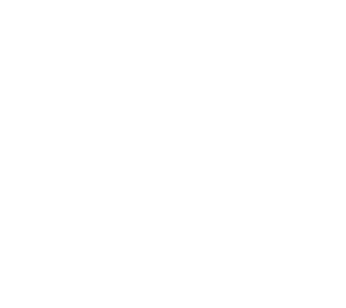 N-Flux Logo