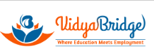 VidyaBridge Logo