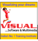 Visual Software & Multimedia Logo