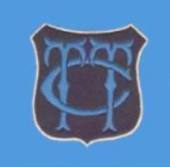 Talavera Tennis Club Logo