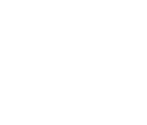 Abbey Gymnastics Logo