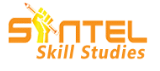 Sintel Academy Logo