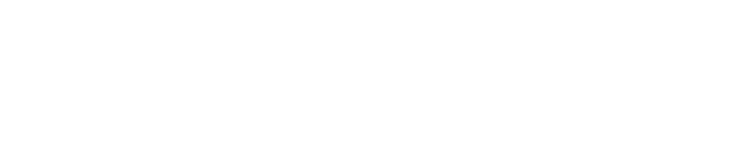 Prevail Boxing Logo