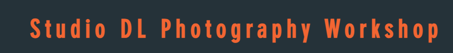Studio DL Photography Logo