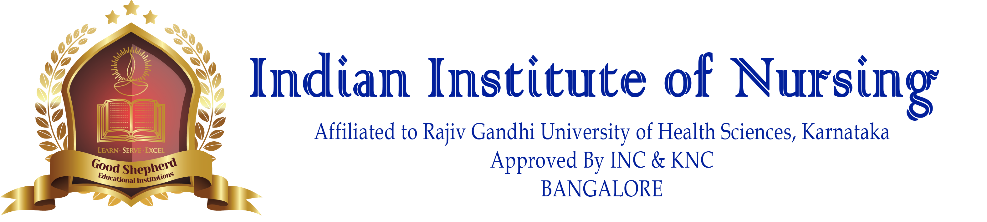Indian Institute Of Nursing Logo