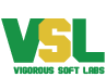 Vigorous Soft Labs Logo