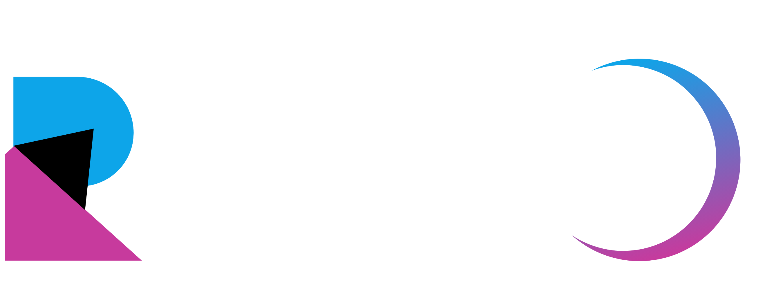 Robust IT Logo