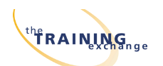 The Training Exchange Logo