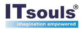 IT souls Logo