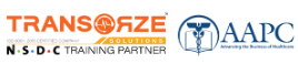 Transorze Solutions Logo