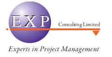 EXP Consulting Logo