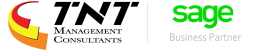 TNT Management Consultants Logo