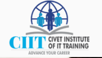 CIIT (Civet Institute of IT Training) Logo