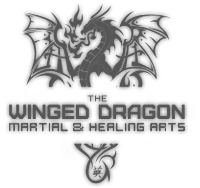 Winged Dragon Martial Arts Academy Logo