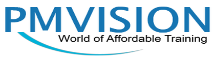 PMVISION Logo