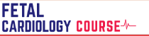 Fetal Cardiology Course Logo