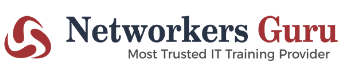 Networkers Guru Logo