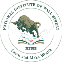 NIWS (National Institute of Wall Street) Logo
