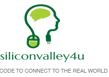 Silicon Valley 4 U Logo