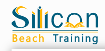 Silicon Beach Training Logo