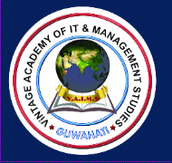 Vintage Academy Of IT & Management Studies Logo