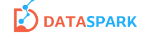 DataSpark Logo