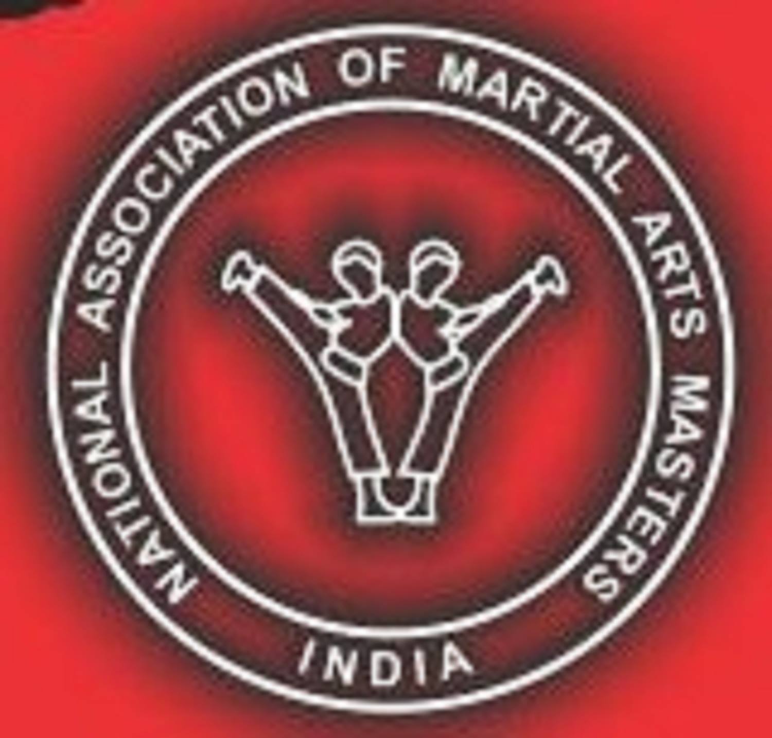 National Association Of Martial Arts Masters India Logo