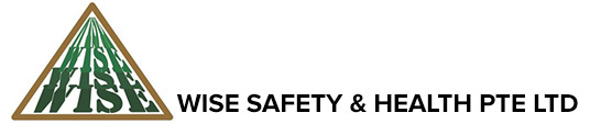 Wise Safety and Health Logo