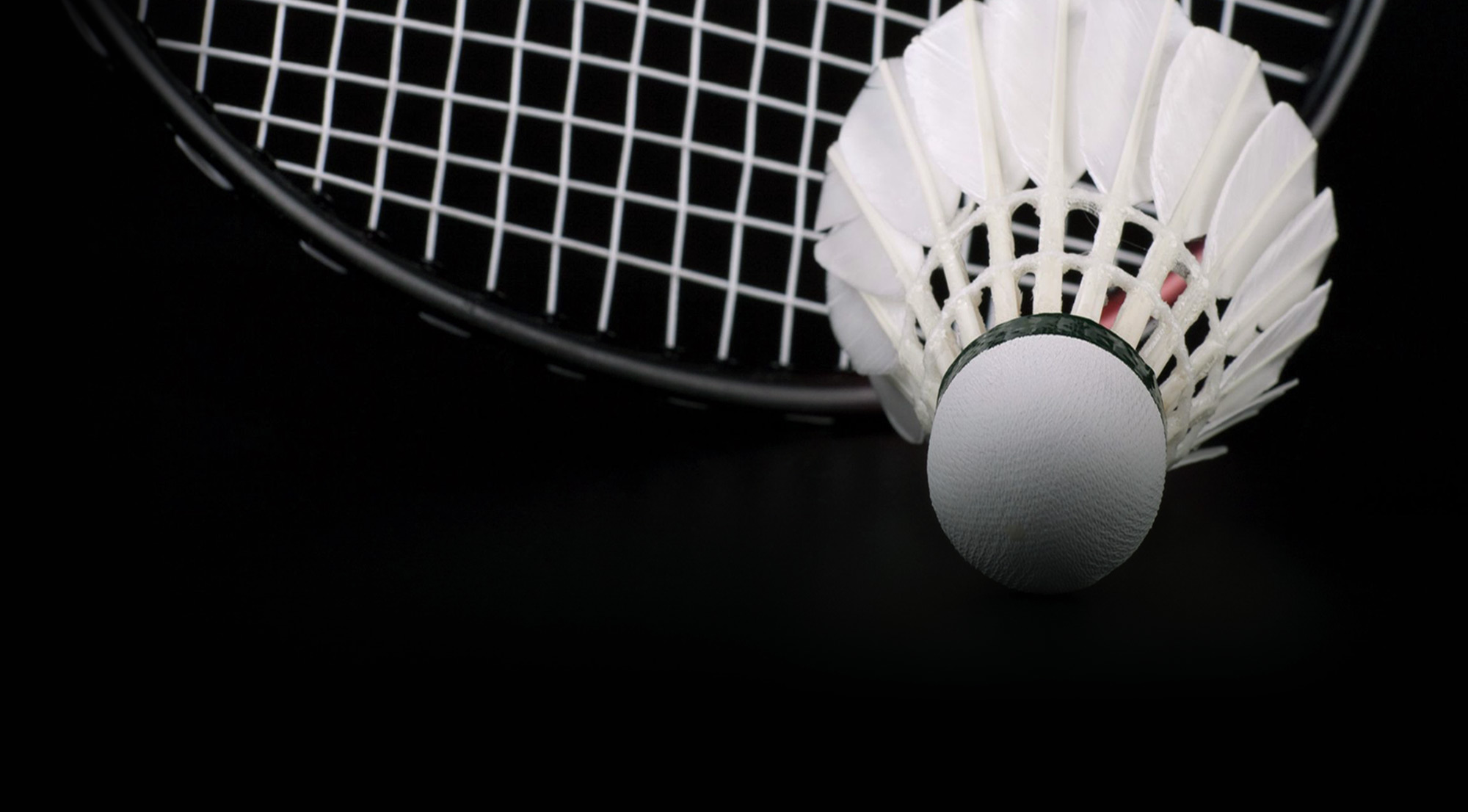 Pro Badminton Academy Logo