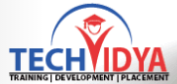 Tech Vidya Logo