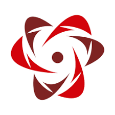 The First Principle Group Ltd. Logo
