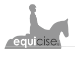 Equicise Logo