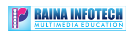Raina Infotech Logo