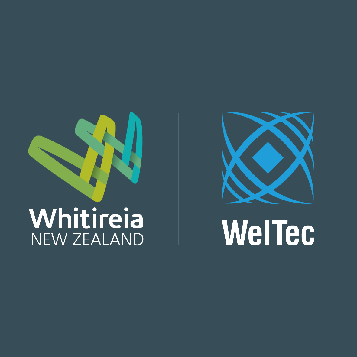 WelTec Logo