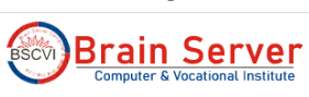 Brain Server Logo