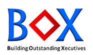The Box Solutions Logo