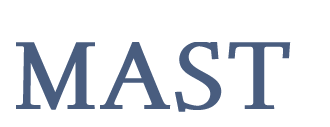 Mast Ohio Logo